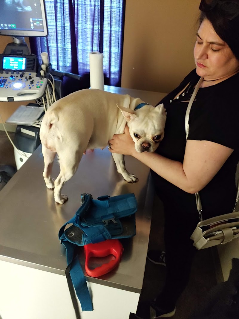 Brittmoore Animal Hospital