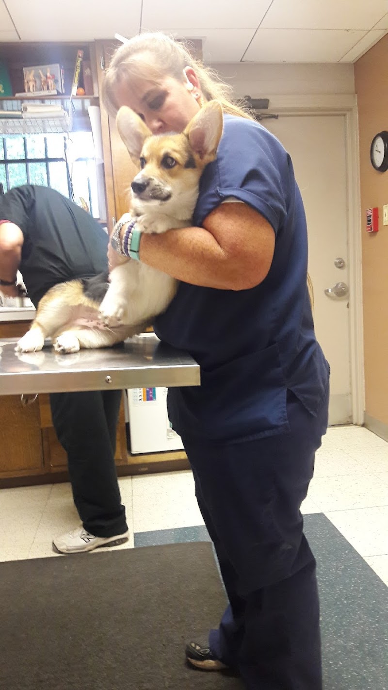 Brittmoore Animal Hospital