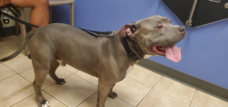 Eastlake Veterinary Hospital