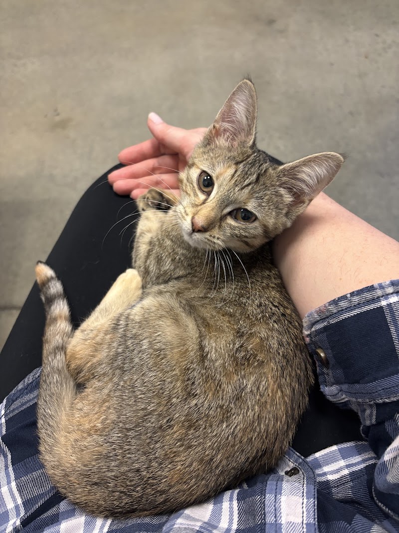 Peachtree Creek Animal Hospital