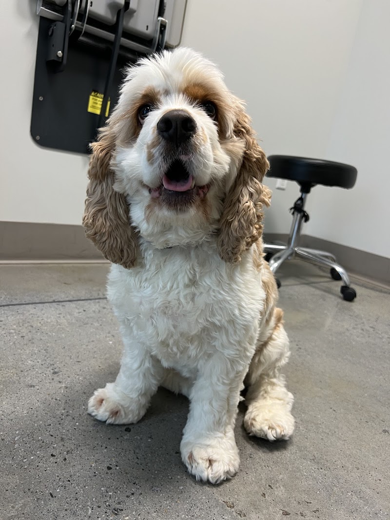 Peachtree Creek Animal Hospital