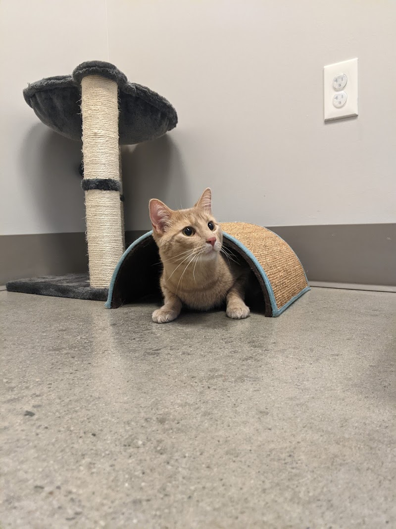 Peachtree Creek Animal Hospital