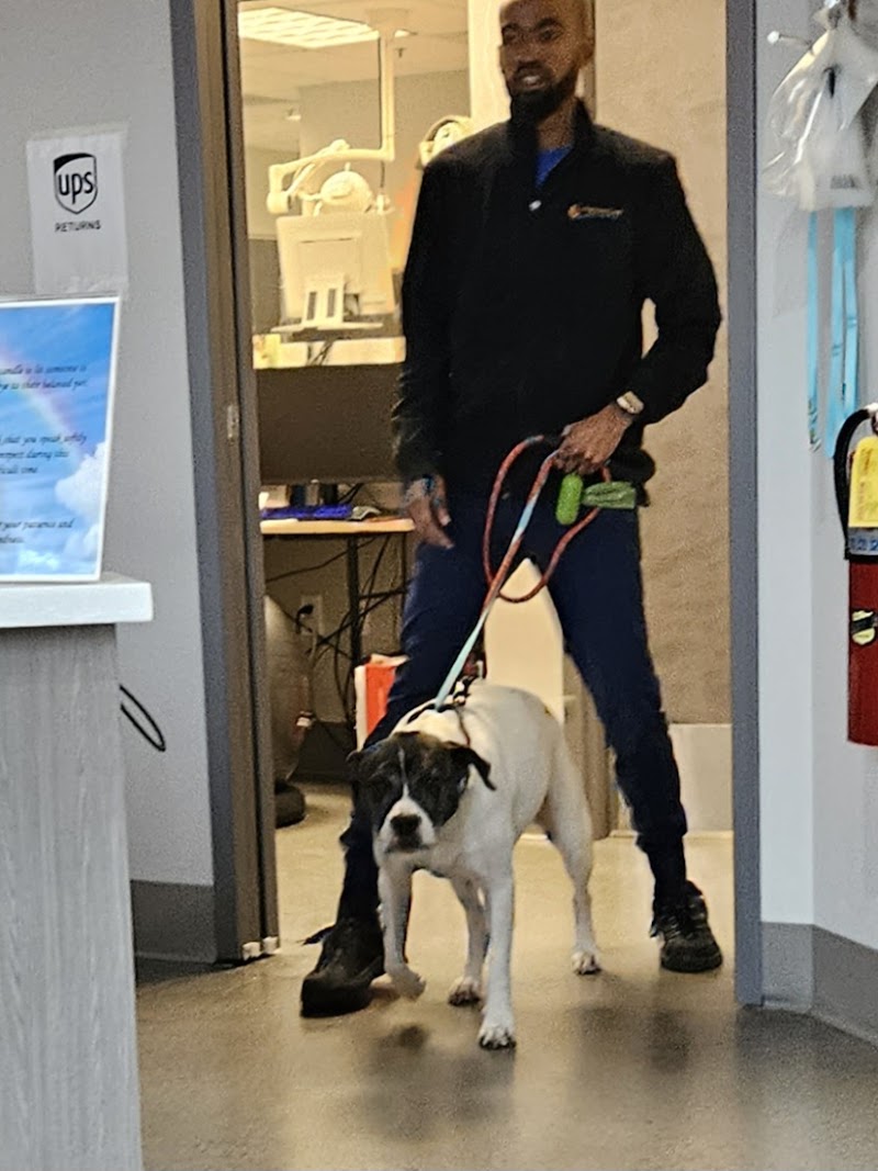 Peachtree Creek Animal Hospital - Atlanta