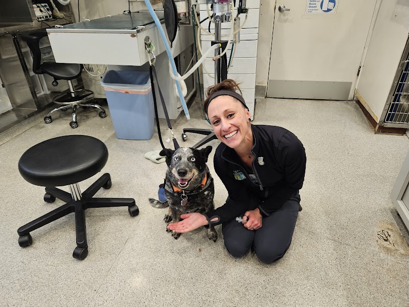 Cardiff Animal Hospital