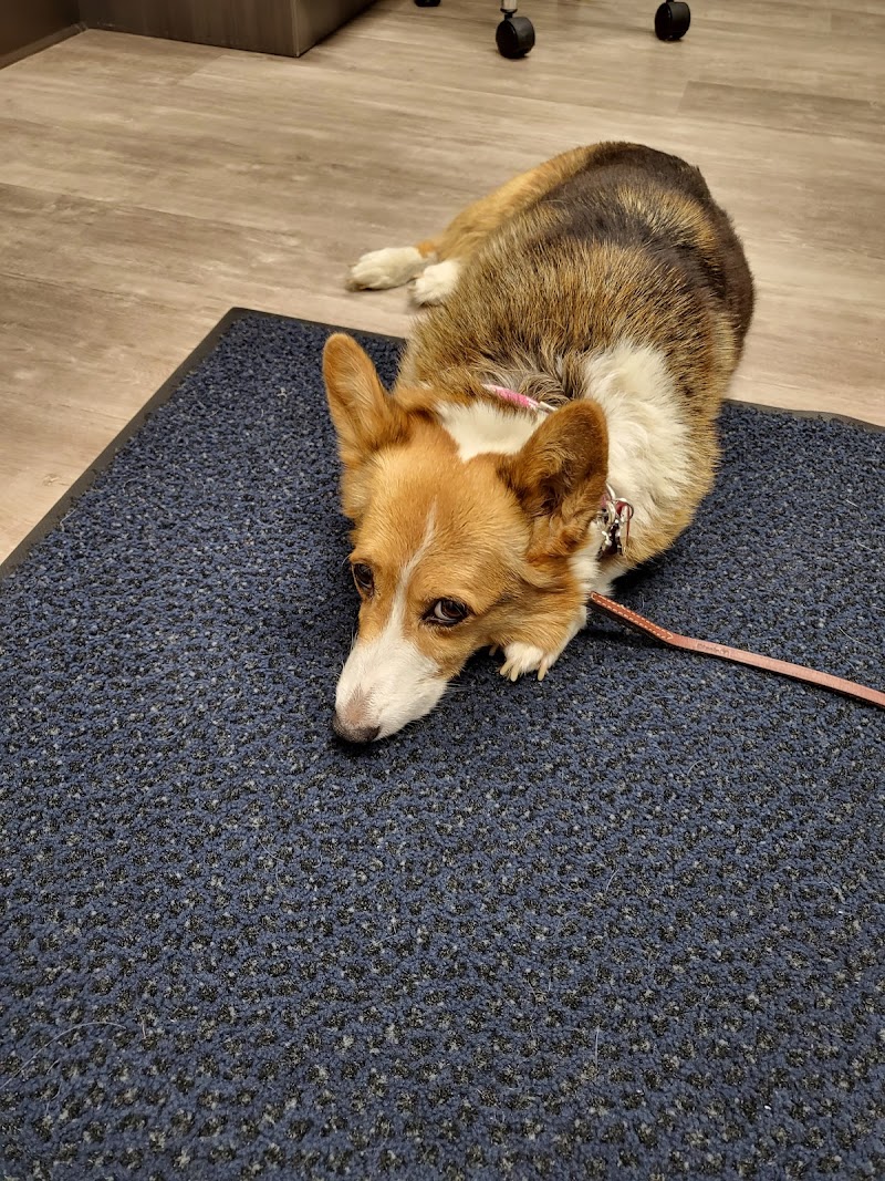 Oregon Veterinary Referral Associates