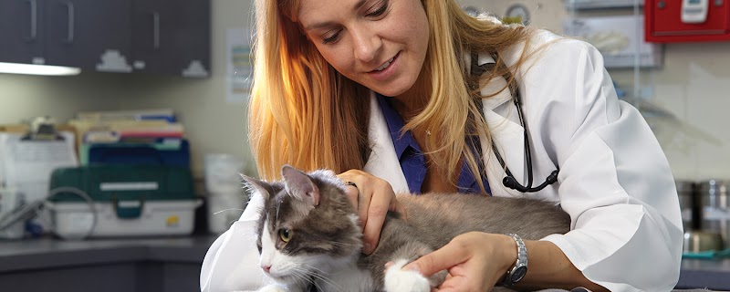 Oregon Veterinary Referral Associates