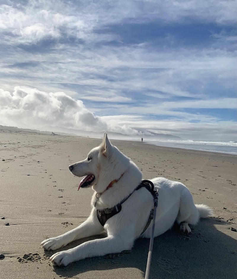 Oregon Veterinary Referral Associates