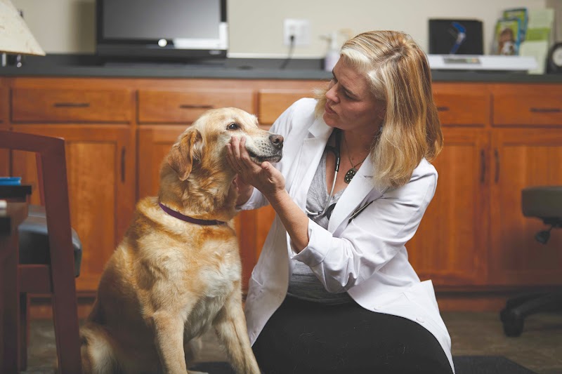 Oregon Veterinary Referral Associates