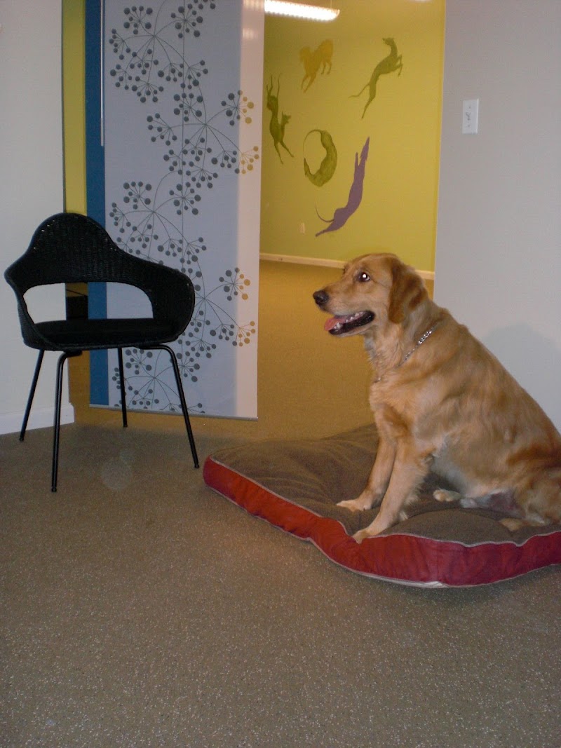 WAG: Whole Animal Gym