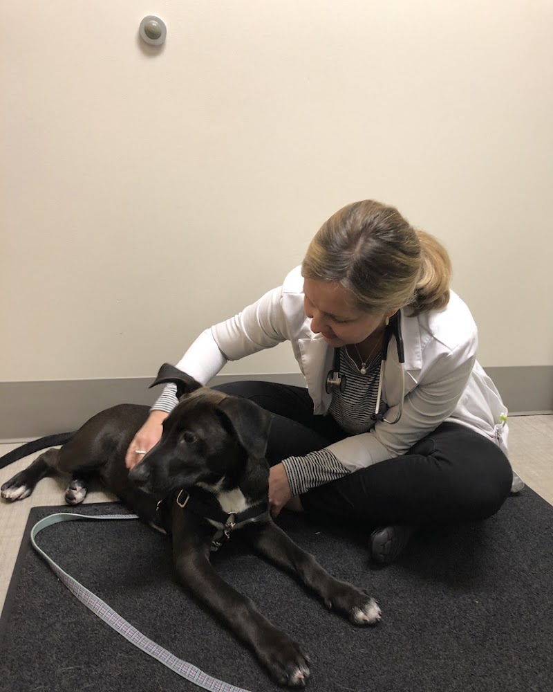 Northwest Veterinary Hospital