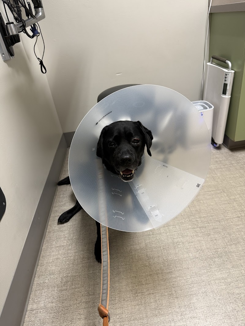 Northwest Veterinary Hospital