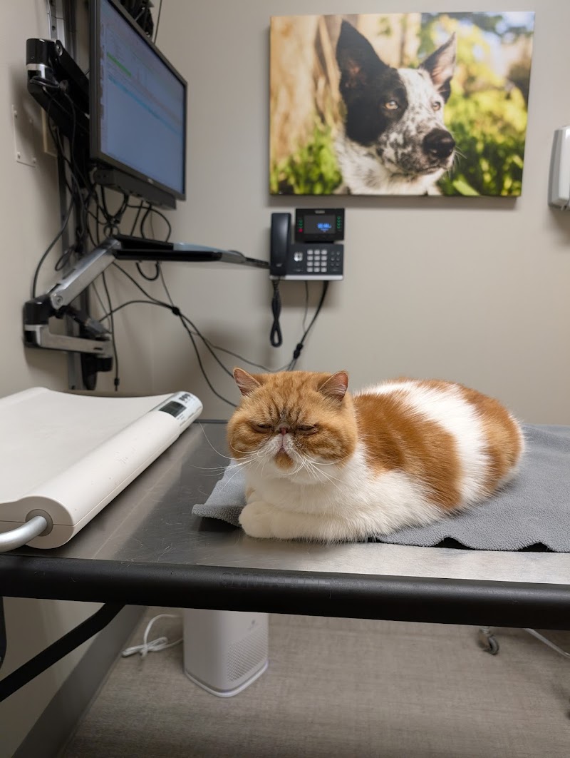 Northwest Veterinary Hospital