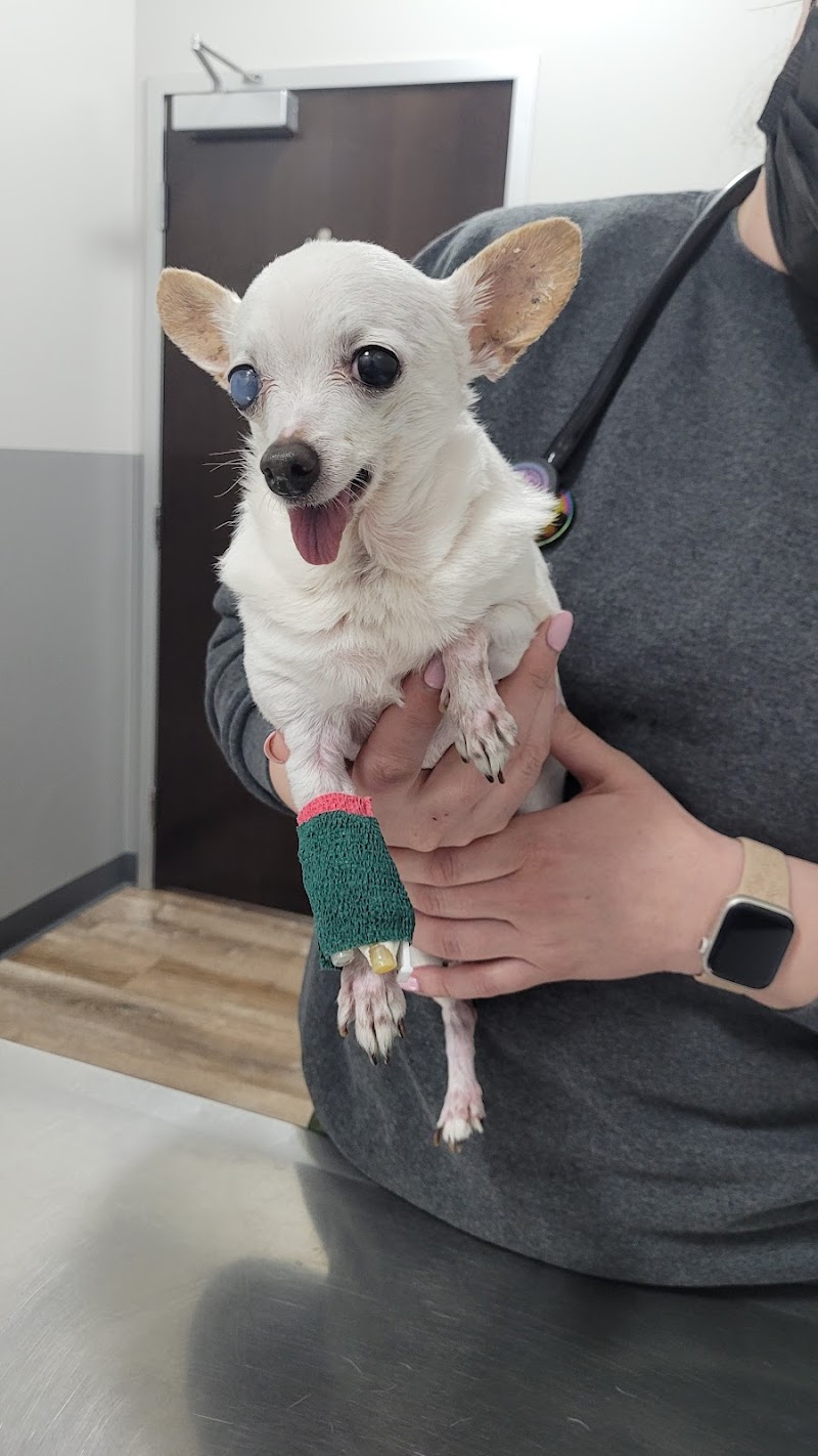 Mission Veterinary Hospital and Animal Emergency Clinic