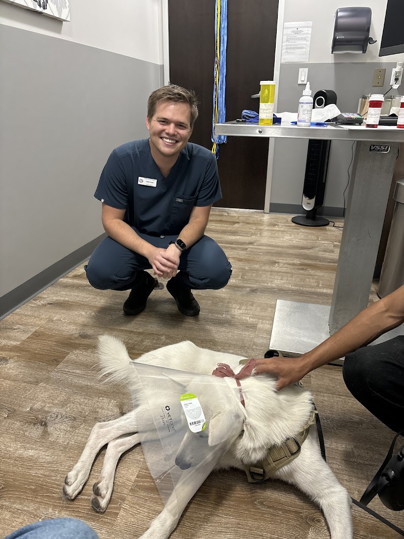 Mission Veterinary Hospital and Animal Emergency Clinic