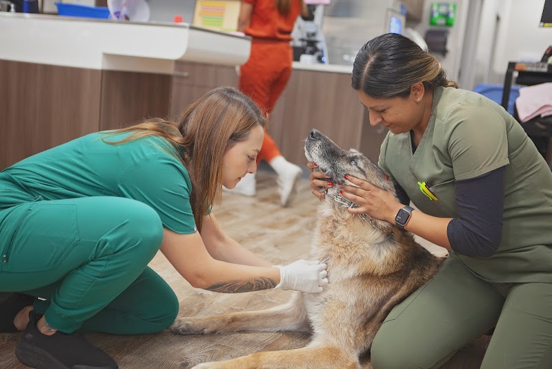 Mission Veterinary Hospital and Animal Emergency Clinic
