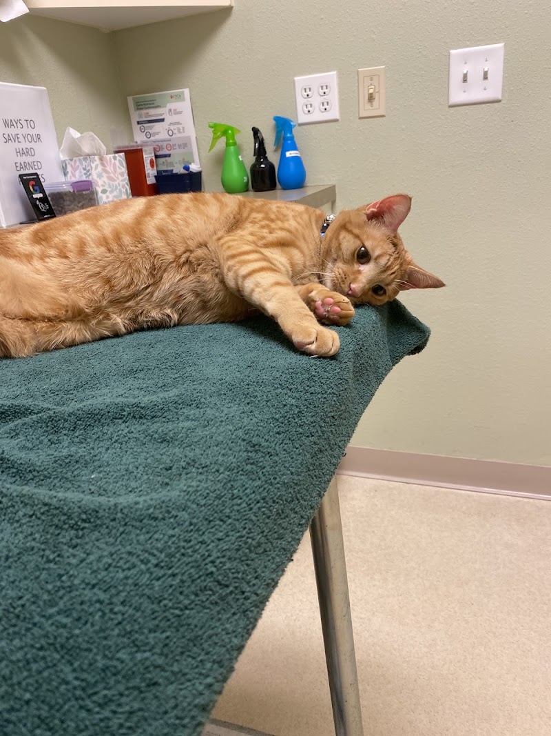 Coyote Ridge Veterinary Clinic