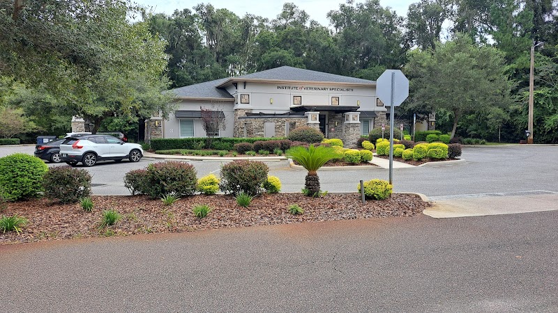 Institute of Veterinary Specialists - Gainesville