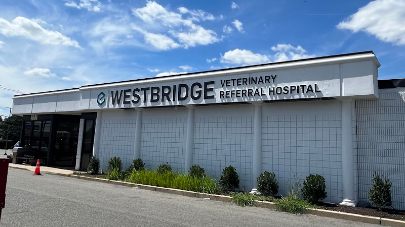 Westbridge Veterinary Referral Hospital