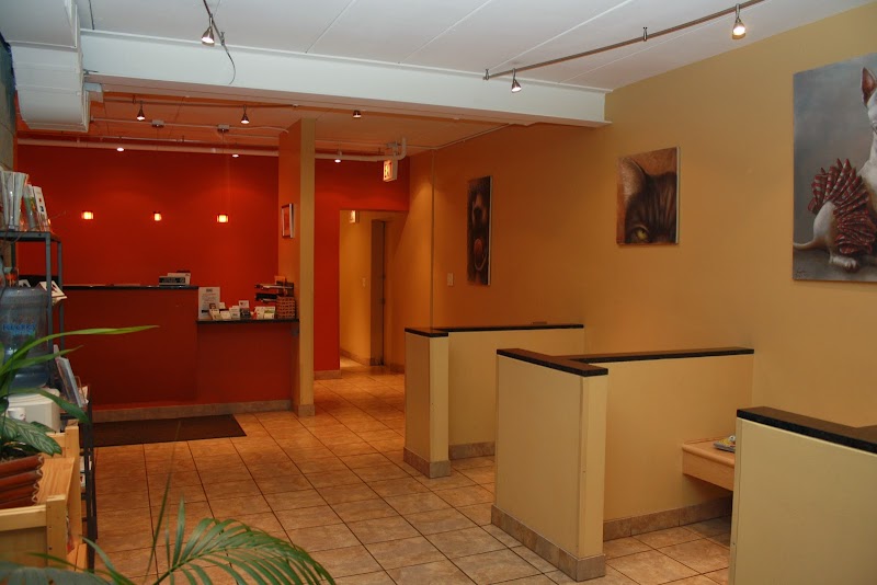 My Vet Animal Hospital