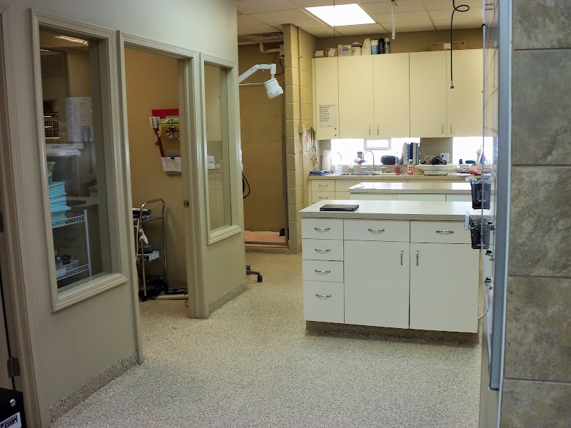 My Vet Animal Hospital