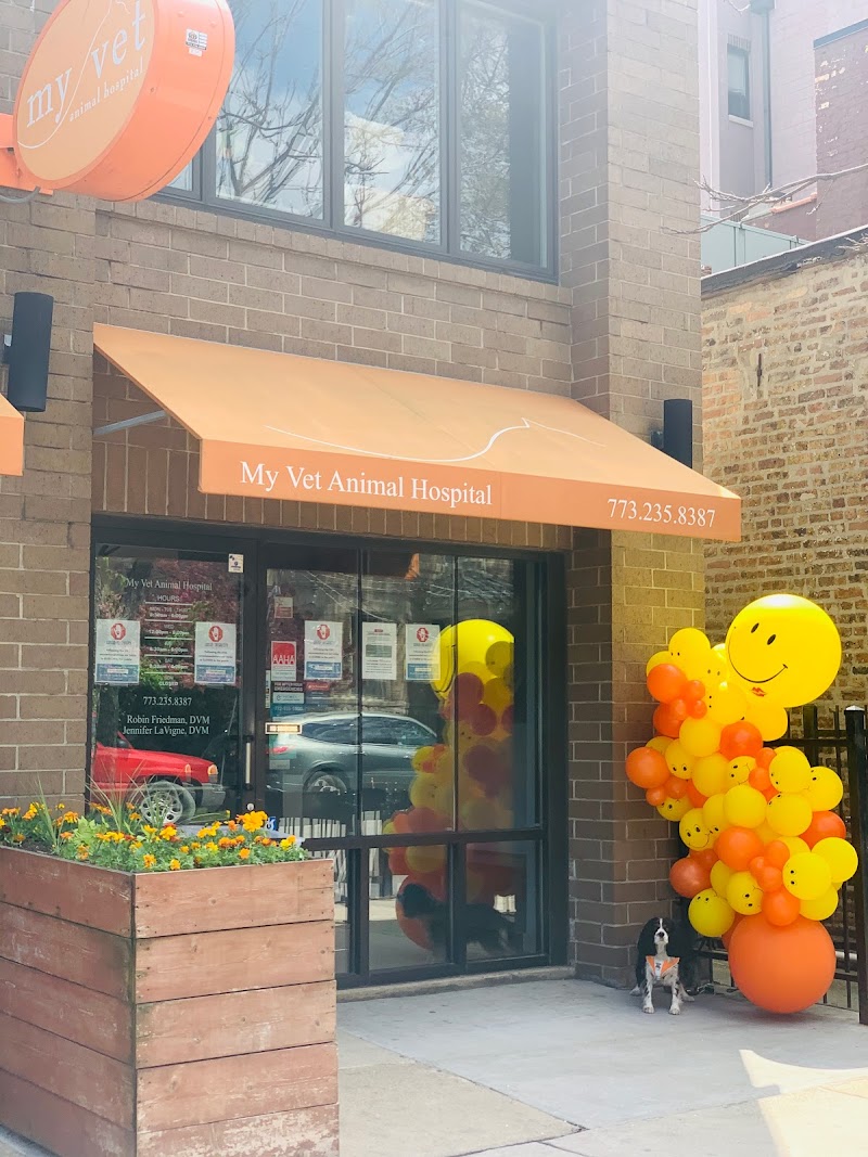 My Vet Animal Hospital - Chicago