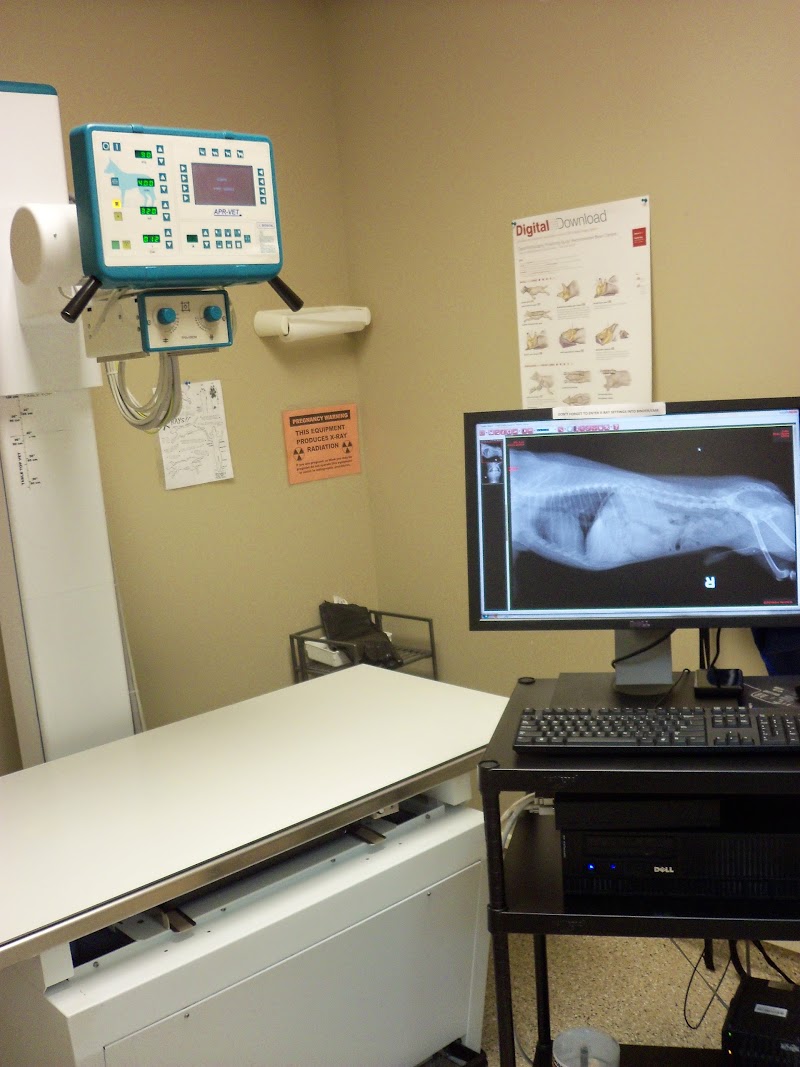 My Vet Animal Hospital