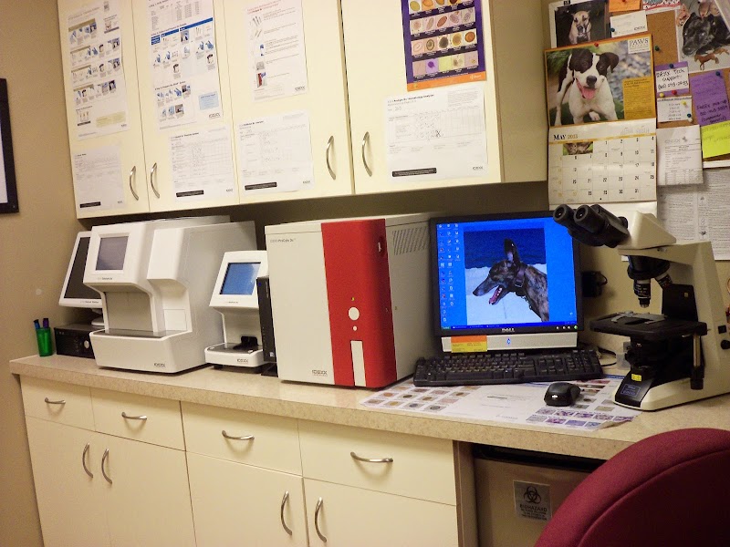 My Vet Animal Hospital