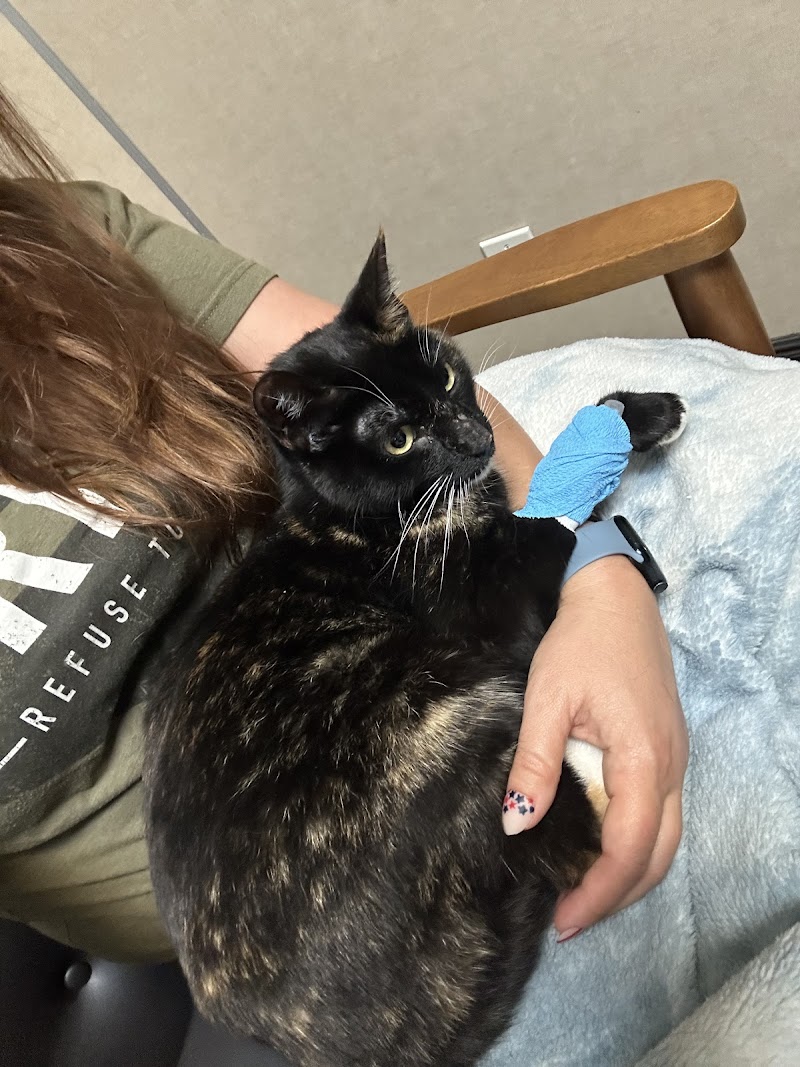 Denton County Animal ER