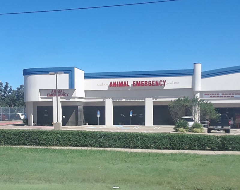 Denton County Animal ER