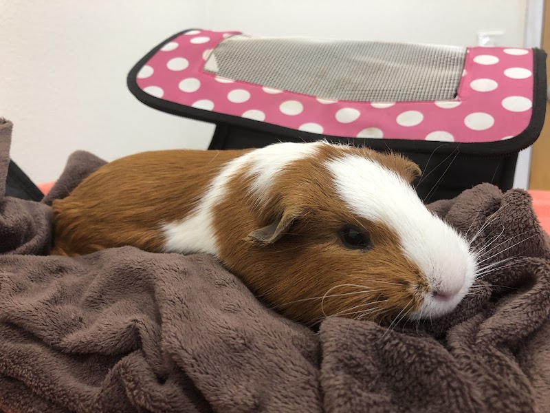 Happy Valley Pet Hospital