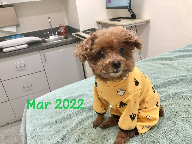 Happy Valley Pet Hospital
