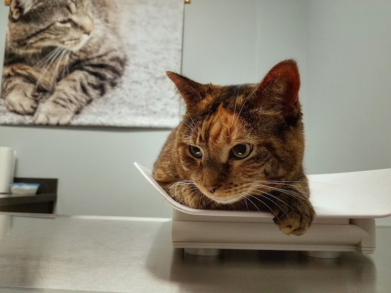 Westford Veterinary Emergency and Referral Center
