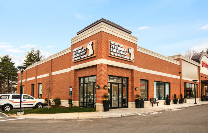 Westford Veterinary Emergency and Referral Center - Westford