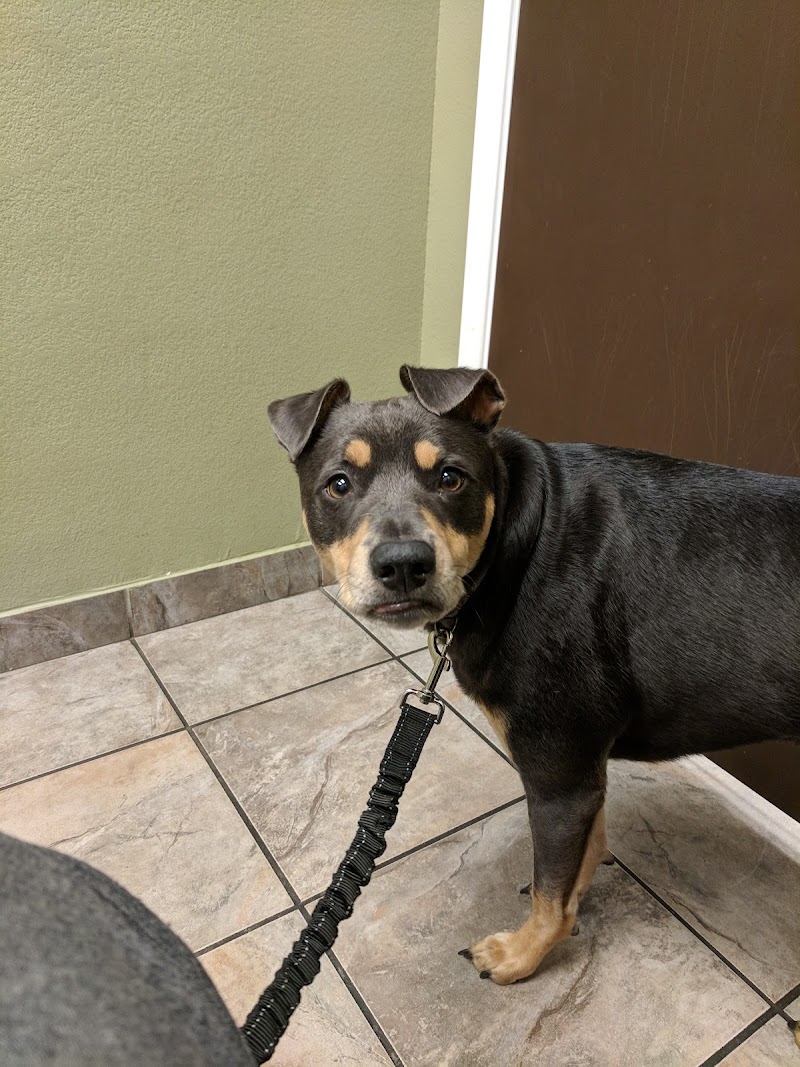 VCA Northwest Hills Animal Hospital