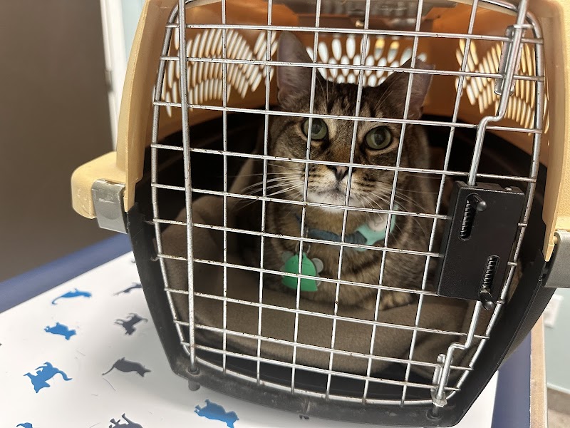 VCA Northwest Hills Animal Hospital