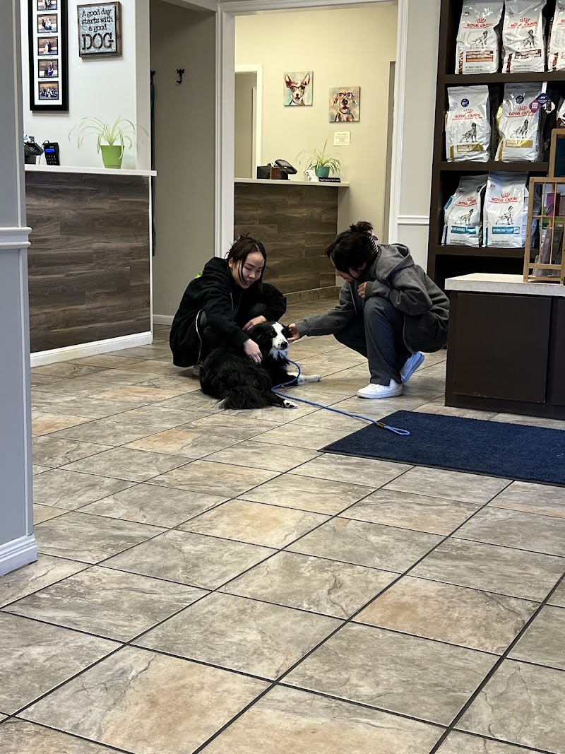 VCA Northwest Hills Animal Hospital
