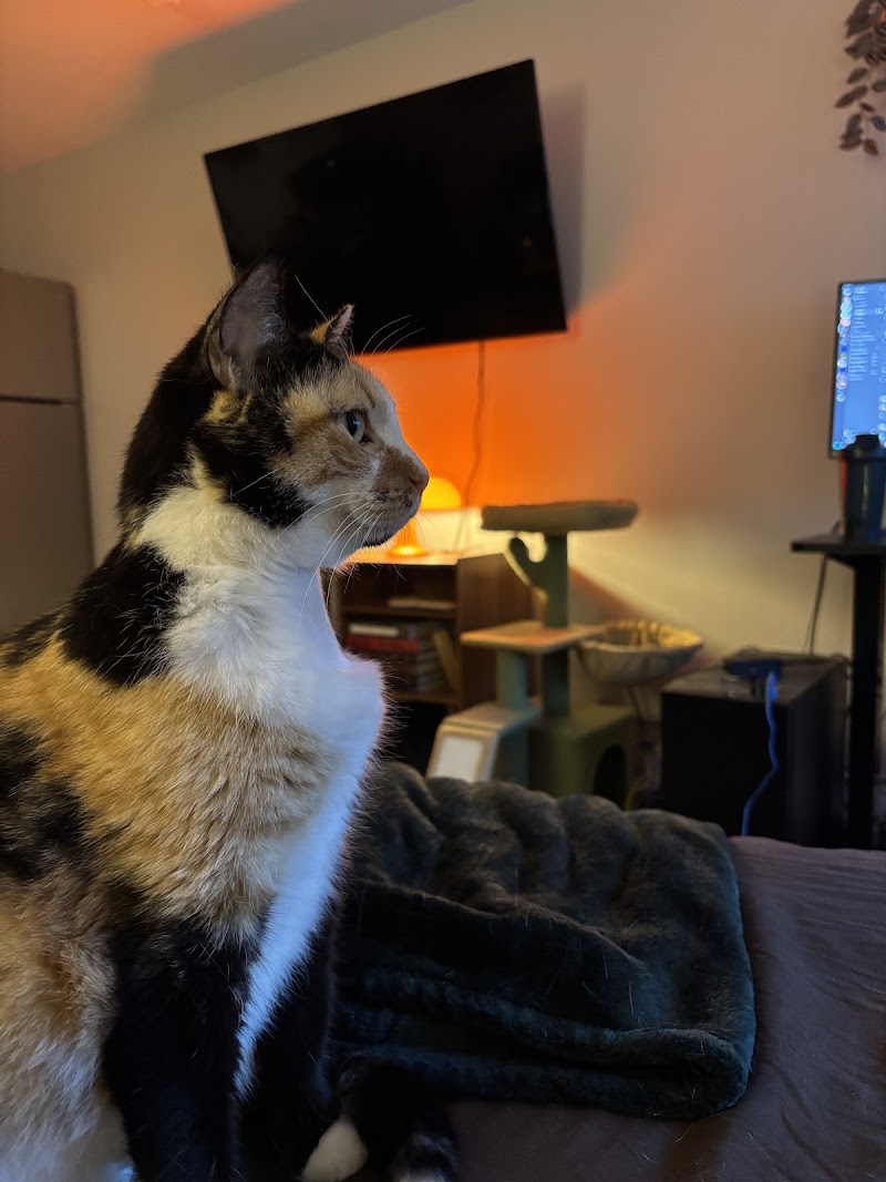 VCA Northwest Hills Animal Hospital