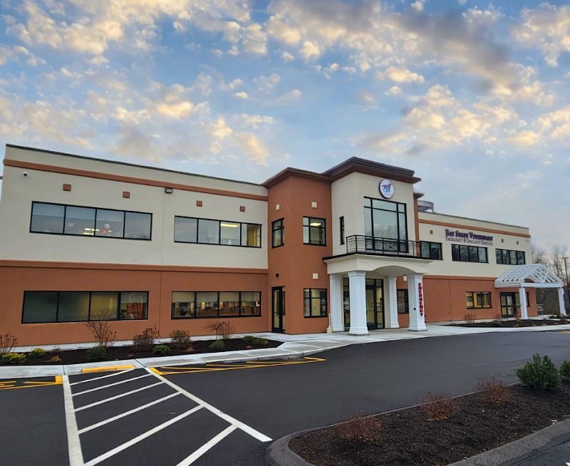 Bay State Veterinary Emergency & Specialty Services - Swansea