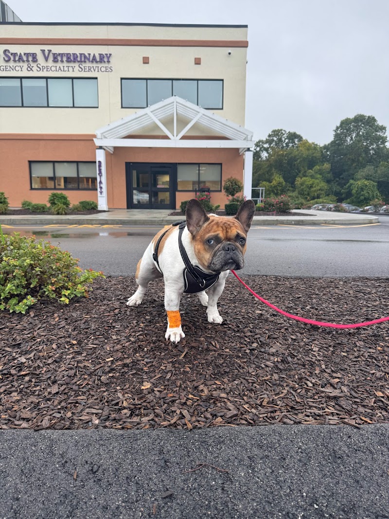 Bay State Veterinary Emergency & Specialty Services