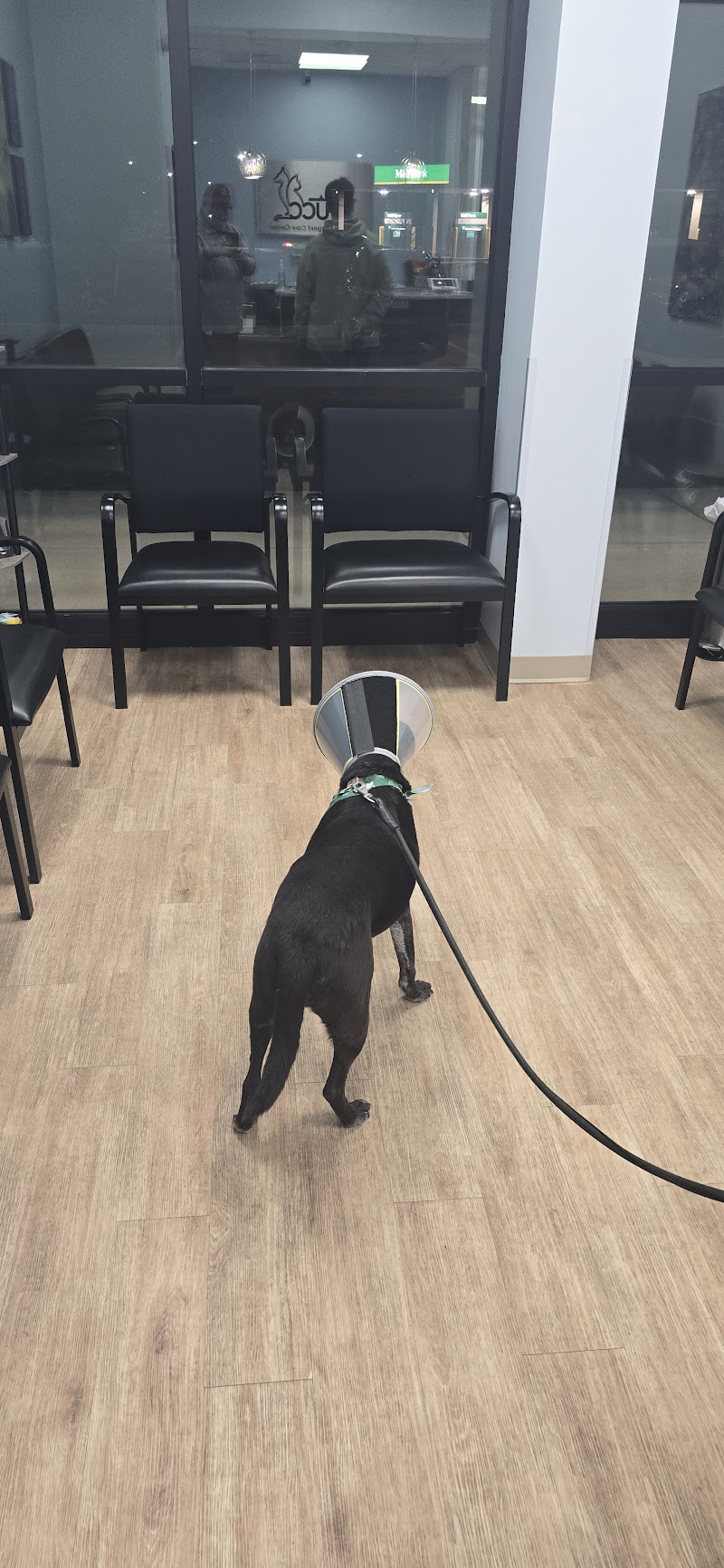 Veterinary Urgent Care Center - Worcester - Worcester