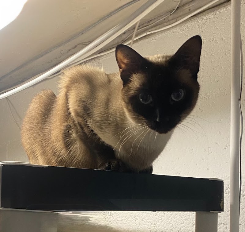 Veterinary Urgent Care Center - Worcester
