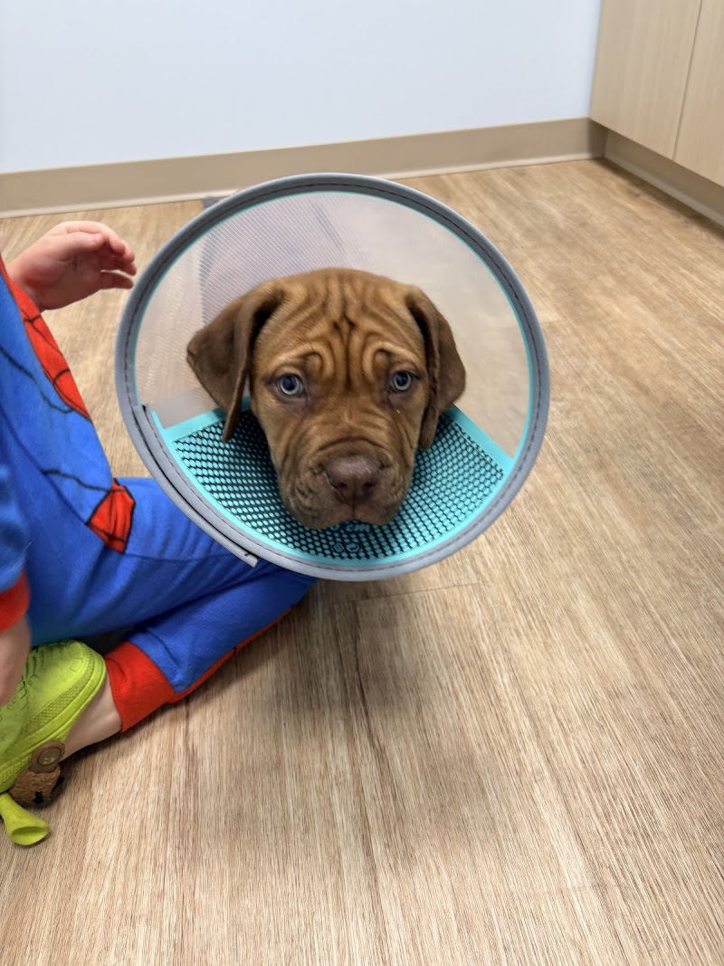 Veterinary Urgent Care Center - Worcester