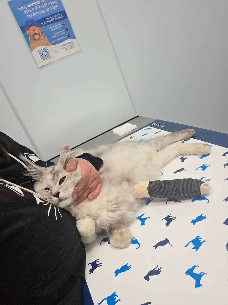 Veterinary Urgent Care Center - Worcester