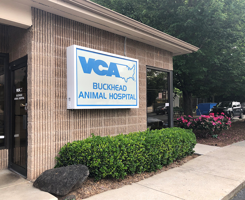 VCA Buckhead Animal Hospital - Atlanta