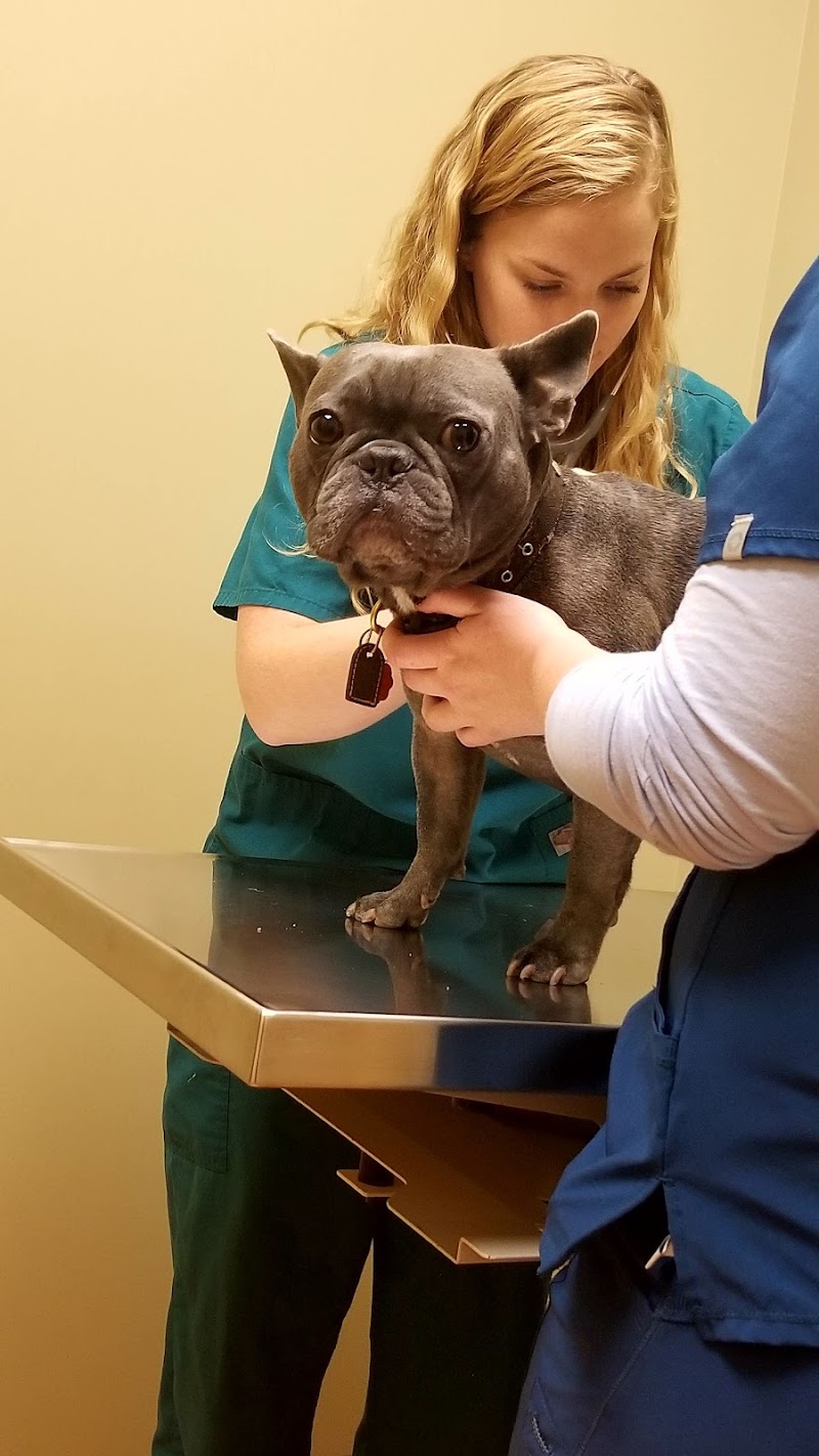 Wicker Park Veterinary Clinic
