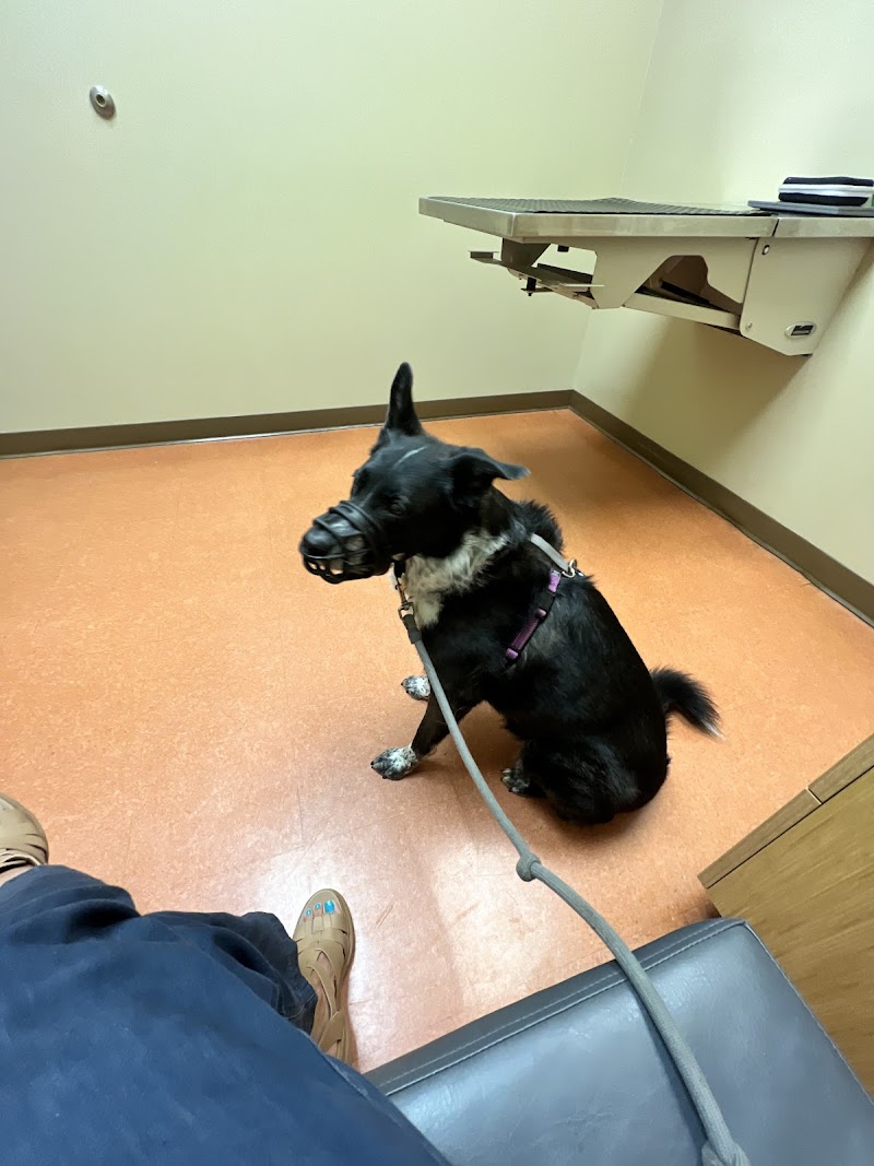 Wicker Park Veterinary Clinic