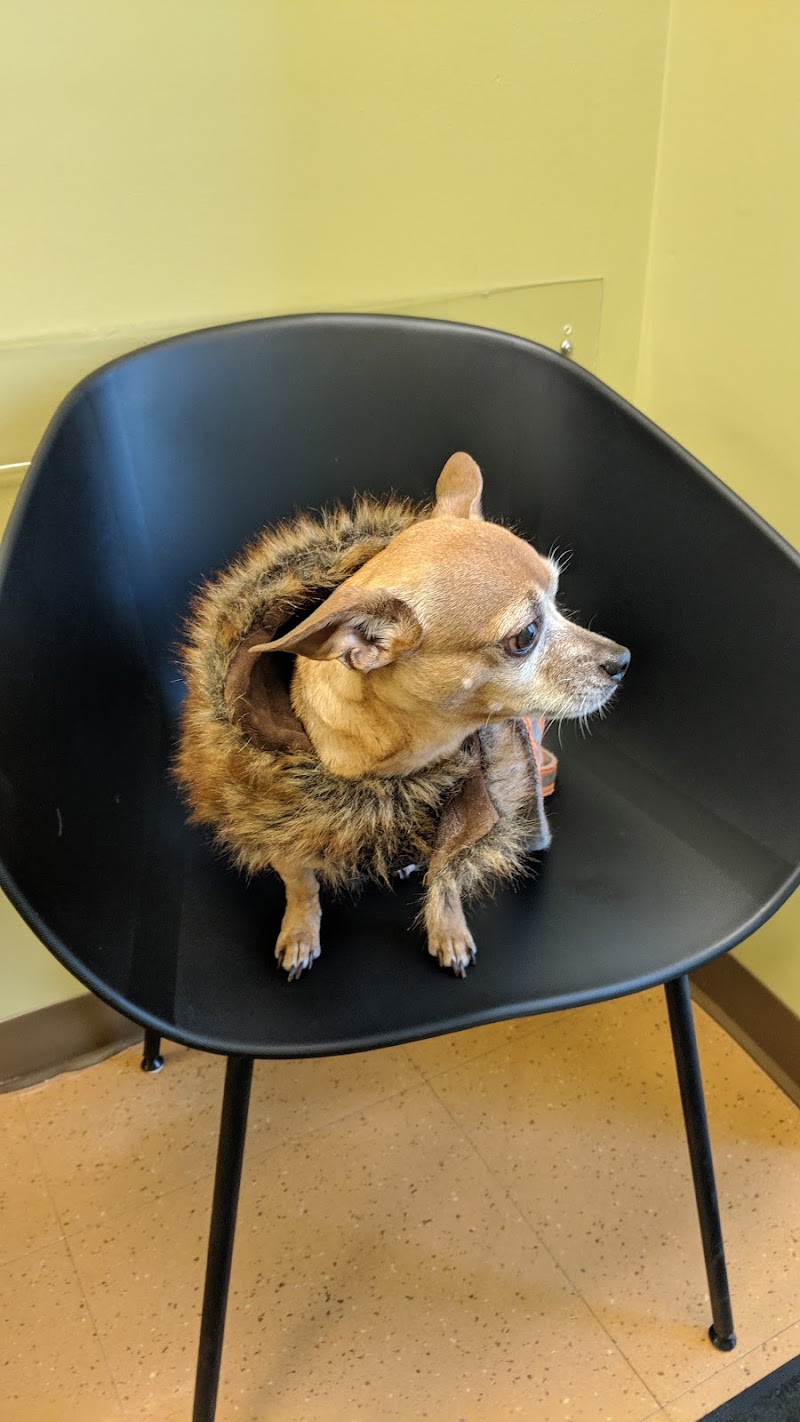 Wicker Park Veterinary Clinic