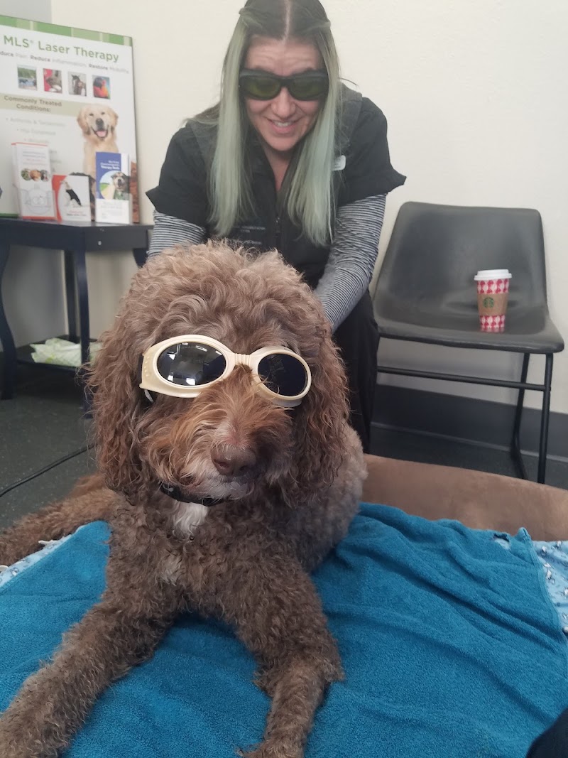 Sound Veterinary Rehabilitation Center
