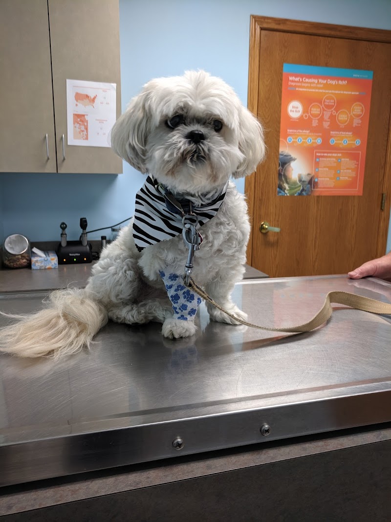 Emergency Veterinary Services