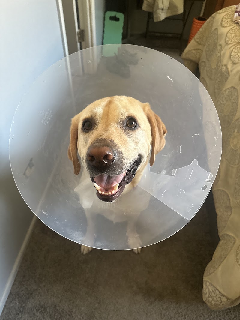 Emergency Veterinary Services